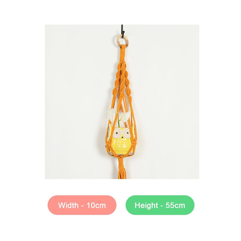 Macrame Plant Hanger with Owl Shaped Pot for Plants  Decorative Item for Diwali Apartment Dorm Bedro