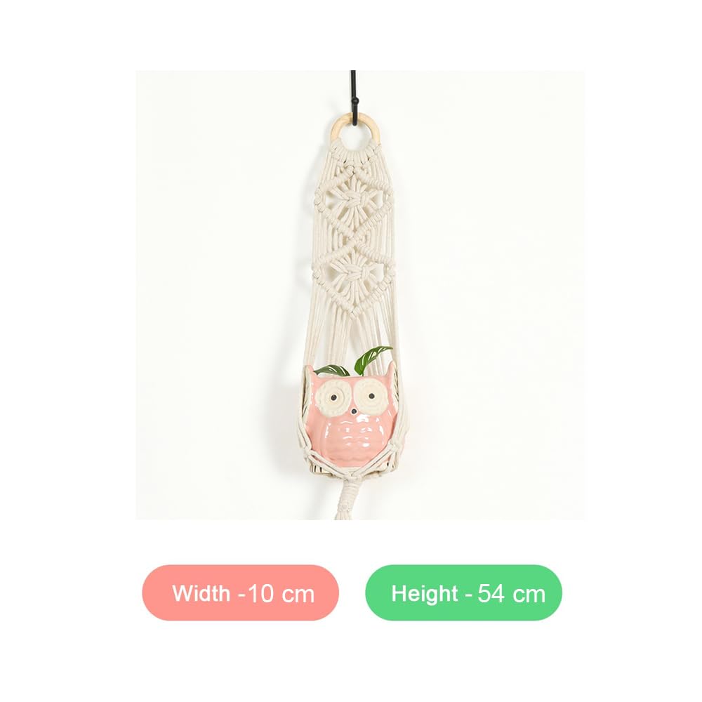 Macrame Plant Hanger with Owl Shaped Pot for Plants  Decorative Item for Diwali Apartment Dorm Bedro