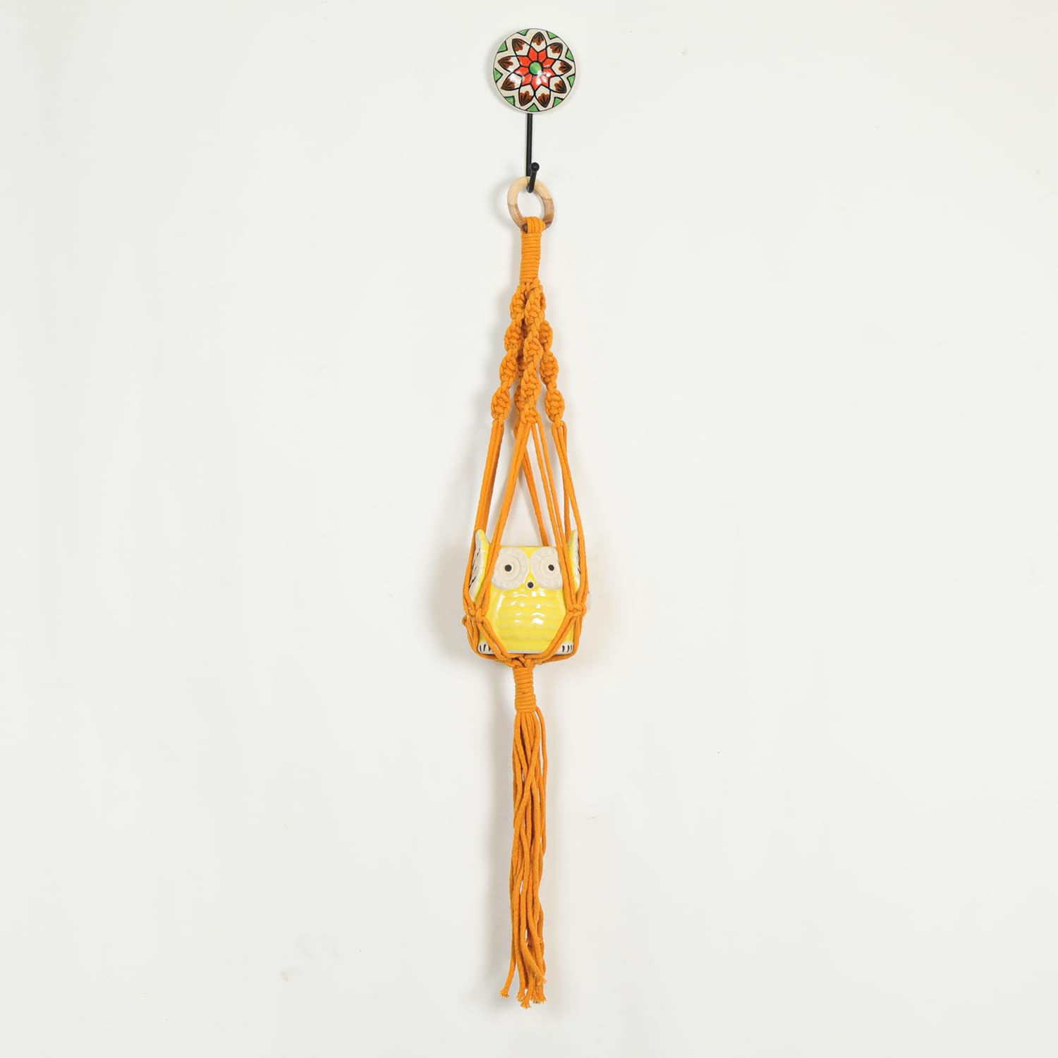 Macrame Plant Hanger with Owl Shaped Pot for Plants  Decorative Item for Diwali Apartment Dorm Bedro