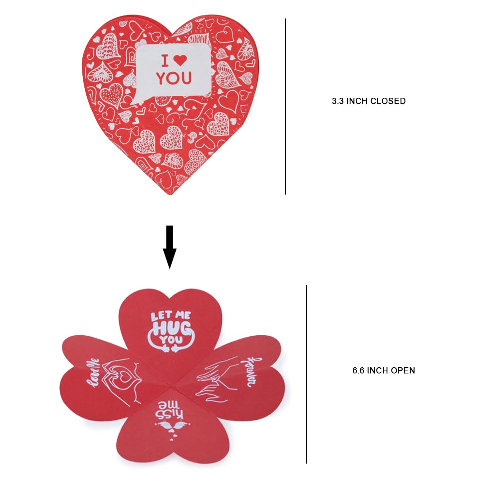 Plastic Valentine Red Rose Flower Combo With Heart Shape Greeting And 2 Teddy Bears 